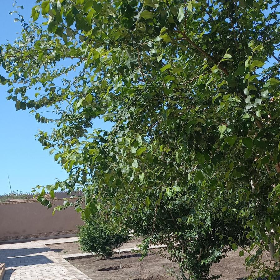 B&B, Khiva ,, Abdullah " In Ichan Kala מראה חיצוני תמונה